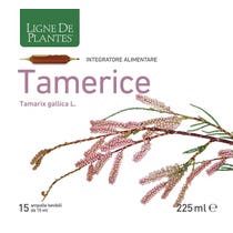 TAMERICE 15AMPOLLE-2