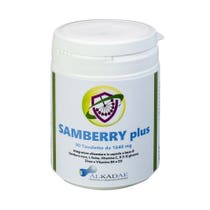 SAMBERRY PLUS 90TAV-1