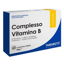 YAMAMOTO R COMPLESSO VITAMIN B-1