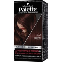 Schwarzkopf Palette Professional Performance Colorazione Permanente 4-2 Castano Mogano 170g - 2