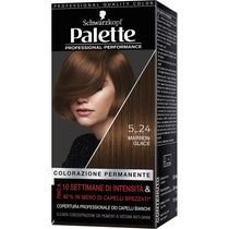 Schwarzkopf Palette Professional Performance Colorazione Permanente 5-24 Marron Glace 170g - 2