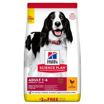 SP CANINE AD M CKN 12KG BG-1