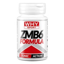 WHYSPORT ZMB6 FORMULA 90CPR-1