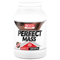 WHYSPORT PERFECT MASS CACAO BI-1