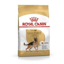 BHN GERMAN SHEP AD 11KG-2
