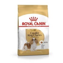 BREED HN CAVALIER KING C 7,5KG-2