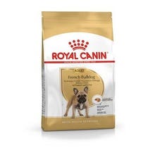 BREED HN FRENCH BULLDOG AD 3KG-2