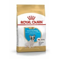 BREED HN FRENCH BULLDOG J 3KG-2