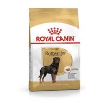 BREED HN ROTTWEILER 12KG-2