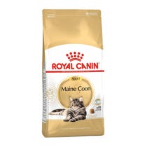 FELINE BN MAINE COON AD 31 4KG-2