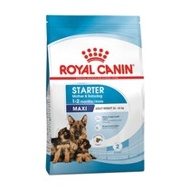Royal Canin Starter Mother&Babydog Crocchette Per Cagne E Cuccioli Taglia Piccola Sacco 15Kg