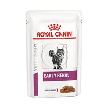 VHN W CAT EARLY RENAL 12X85G-2