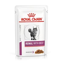 VHN W CAT RENAL BEEF 12BUST-2