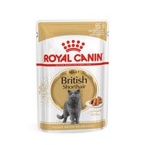 WF BRITISH SHORTHAIR 85G-1