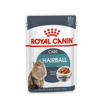 WF CAT HAIRBALL CARE 85G-1