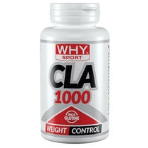 WHYSPORT CLA 1000 90PRL-1