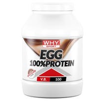 Whysport Egg 100% Protein Cioccolato 750g-2