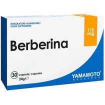 YAMAMOTO R BARBERINA 30CPS-1