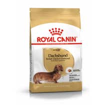 Royal Canin Crocchette Per Cani Bassotto Dachshund Adulti Sacco 1,5kg-1