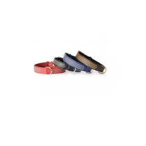 Camon Collare Con Borchiette Per Cani Colore Blu 30x600mm-1