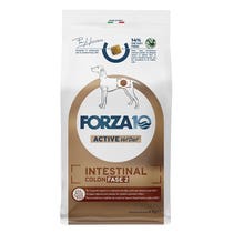 Forza10 Intestinal Colon Fase I Cibo Secco Pesce Per Cani Adulti Sacco 4kg