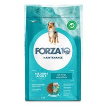 Forza 10 Mantenimento Cibo Secco Pesce Per Cani Adulti Taglia Grande Sacco 12kg