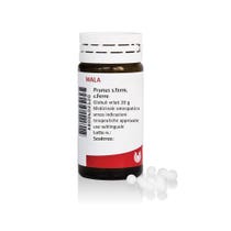 Wala Prunus S.Ferm C.Ferro Medicinale Omeopatico 20g-1