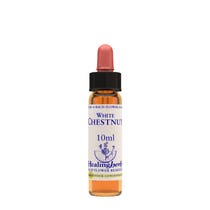 Natur Fiori Di Bach Healing Herbs White Chestnut 10ml