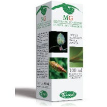 Tiglio Argentato Macerato Di Gemme 100ml-2
