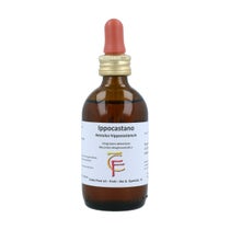 Ippocastano Gemme 100ml -1