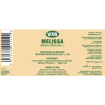 Dr Taffi Vital Soluzione idroalcolica Melissa 50ml-2