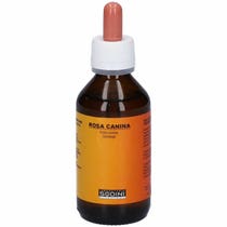 Sodini Rosa Canina Rosa Canina Soluzione Gliceroalcolica 100ml