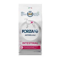 Forza 10 Active Line Intestinal Alimento Secco Per Cani Sacco 10 Kg-1