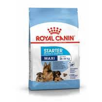 Royal Canin Starter Mother&Babydog Crocchette Per Cagne E Cuccioli Taglia Grande Sacco 4kg-1