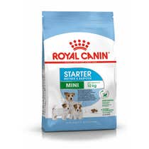 Royal Canin Starter Mother&Babydog Crocchette Per Cagne E Cuccioli Taglia Piccola Sacco 1kg-1