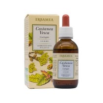 CASTANEA VESCA GEMME GD BIO-1