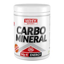 Whysport Carbo Mineral Arancia 400g-1