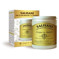 Dr.Giorgini Salisani Vitaminsport 360g Polvere-2