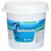 Candioli Gastrocure Mangime Complementare Per Equini 2,6Kg-2