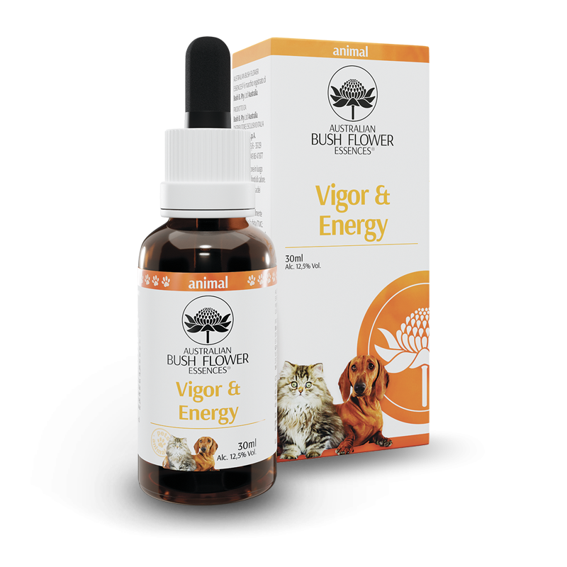 Australian Bush Flower Essences Vigor&Energy 30ml-2