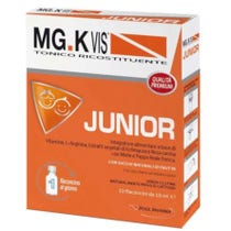 Mgk Vis Tonico Ricostituente Junior 10 Flaconcini Da 10ml-3