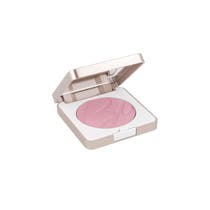 Bionike Defence Color Fard Pretty Touch 304 Vin 5g - 4