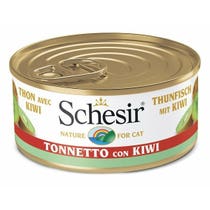 SCHESIR TONNETTO KIWI 75G-1