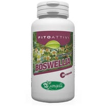 Sangalli Fitoattivi Boswelia 90 Capsule-2