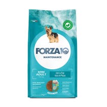 Forza10 Adult Maintenance Crocchette Al Pesce Cani Adulti Taglia Piccola Sacco 2kg-1