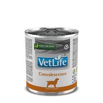 Farmina Vet Life Convalescence Cibo Umido Per Cani Lattina 300g-1