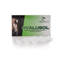 Hyalusol Aerosol Ambientale Per Equini 10 Flaconi Monodose Da 8ml-1