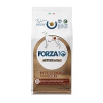 Forza10 Active Intestinal Colon Fase 2 Cibo Secco Cani Adulti Sacco 10kg-1
