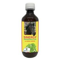 Sinergy Mangime Complementare Multivitaminico Per Equini 200ml-2