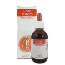Naturetica MG Bio Betulla Verrucosa Semi 50ml-1